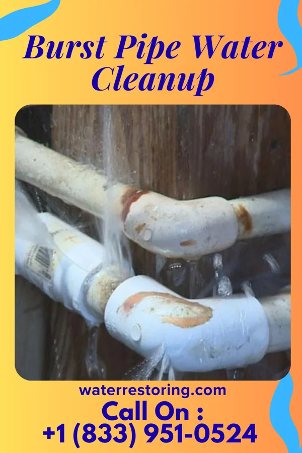 Burst Pipe Water Cleanup in Dillsburg, PA