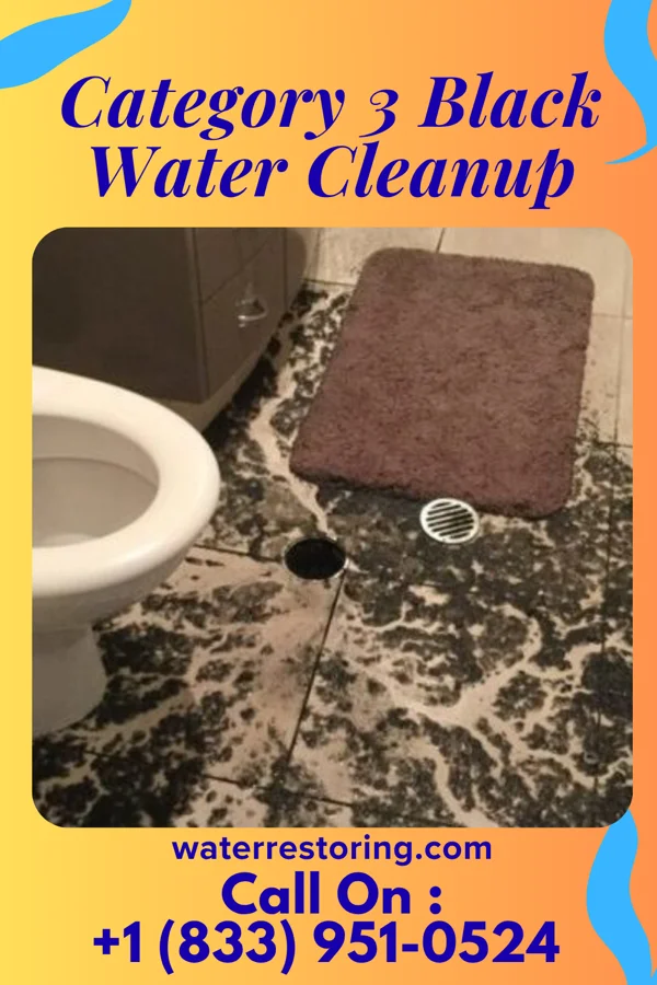 Category 3 Black Water Cleanup in Dillsburg, PA