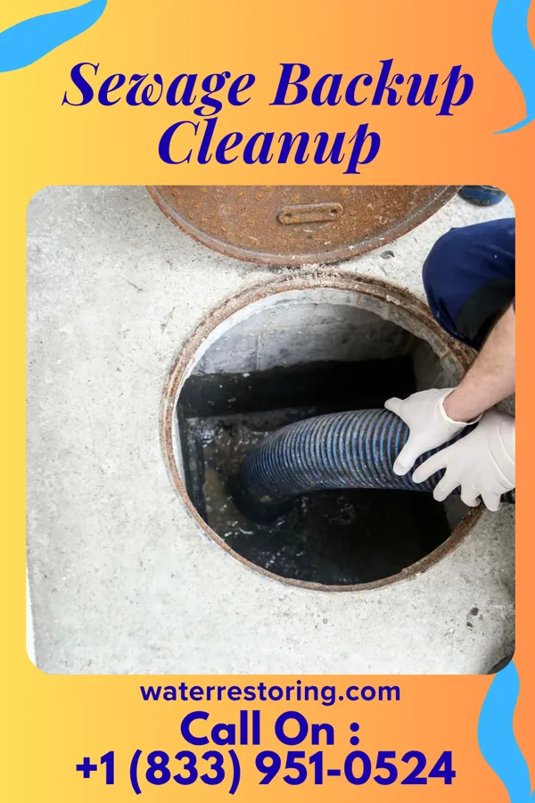 Sewage Backup Cleanup in Dillsburg, PA
