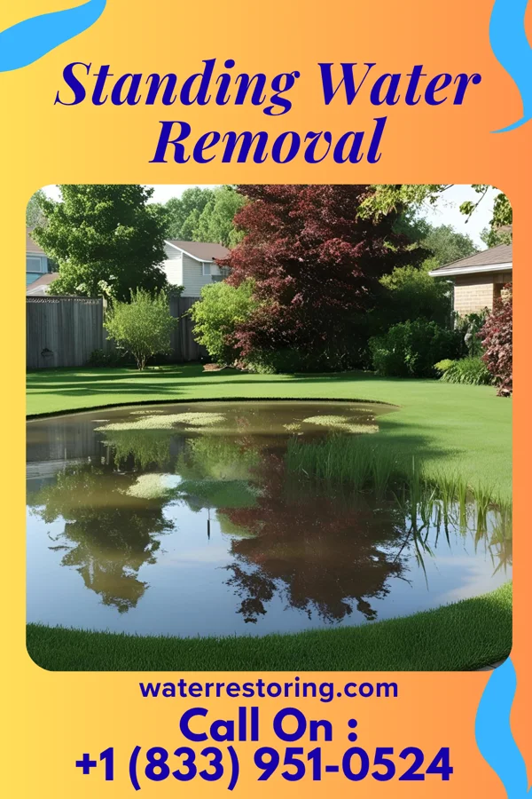 Standing Water Removal in Dillsburg, PA